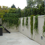 Tuin voor tuinwedstrijde 020.jpg