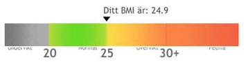 Skärmklipp