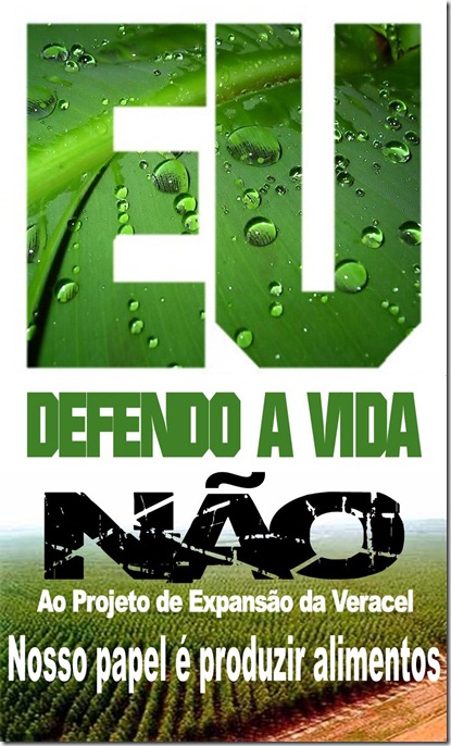 LOGO EUCALIPTO NÃO