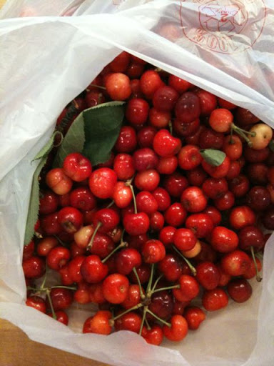 Washed cherries, ready to be jarred.