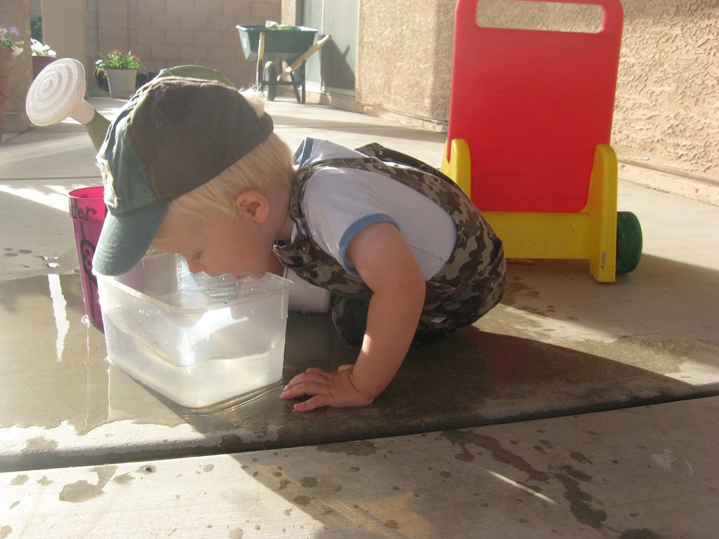 [IMG_6976%255B5%255D.jpg]