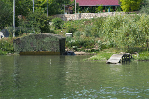 386_1264.jpg