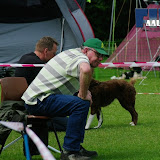 IMGP6972.JPG