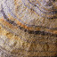 The Many Layers of Rock Along The Shoreline at Mt. Manganui - Tauranga, New Zealand