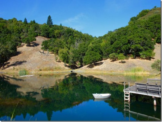 robin-williams-house-5