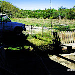 dripping-springs-tx.jpg