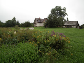 DSCF1734.JPG