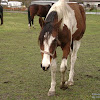 dsc07115.jpg