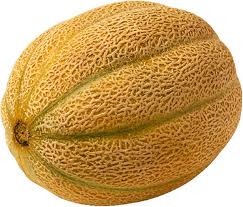 [cantaloupe%255B4%255D.jpg]