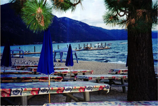 picnic tables,dock,tree at beach.jpg