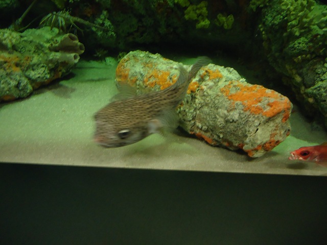 [DSC09627%255B2%255D.jpg]
