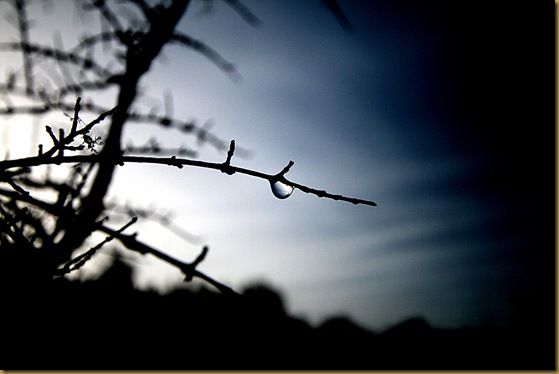 Drop of water