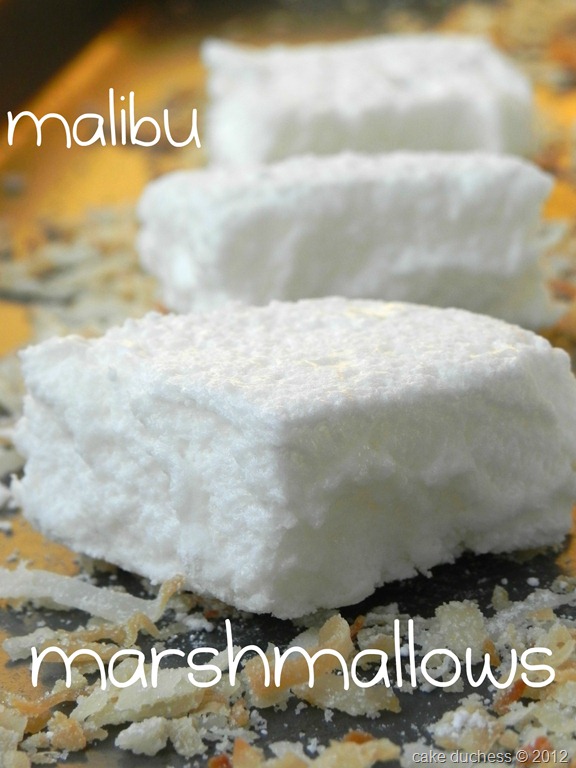 [malibu-marshmallows-16.jpg]