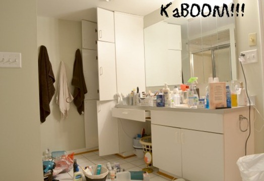 HSR Master Bath Org During HSR Master Bath Org During