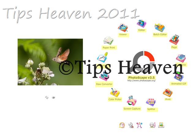 [Capture12.png]