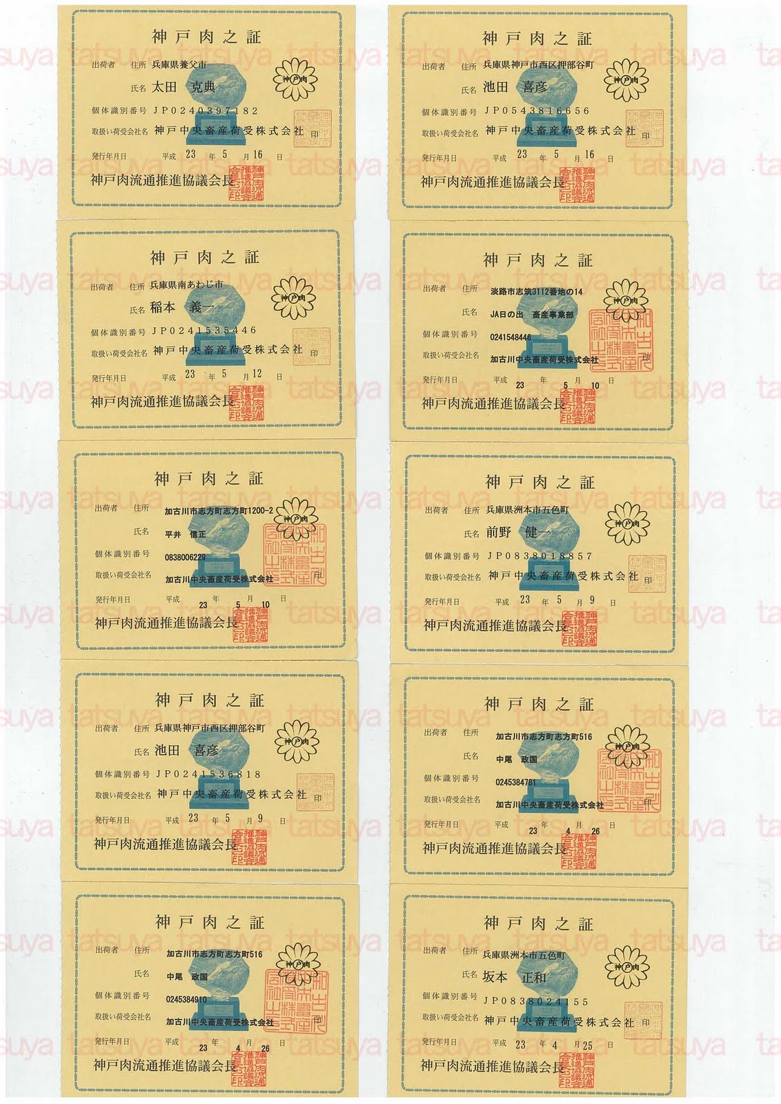 [LOT-11052001-%25231.jpg]