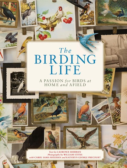 [Birding_Life_cover-via-the-Skirted-R.jpg]