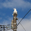 hokkaido_153.jpg