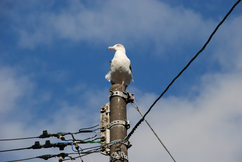 hokkaido_153.jpg