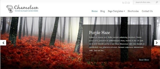 chameleon premium wp theme review