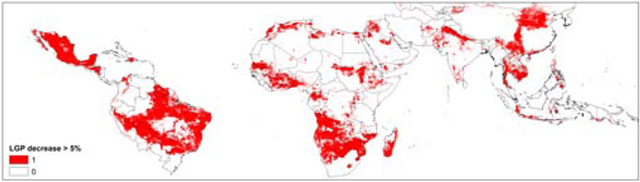 Tropical areas that will experience more than a 5% reduction in length of growing period (LGP) by the year 2050. ccafs.cgiar.org