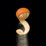 xl_modernist_cuisine_pr_02.jpg