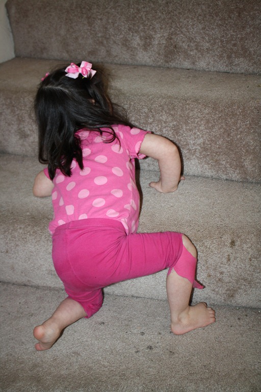 [IMG_7192%255B3%255D.jpg]