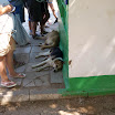 2011-08-10 10.47.13.jpg