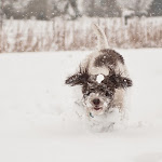 EMMIE-JAN11-6030.jpg