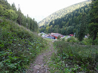 SAM_6467.JPG Photo