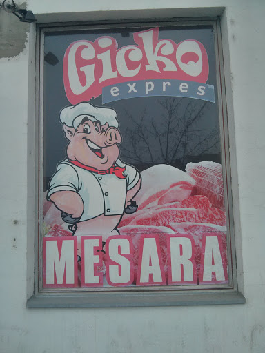 Gicko Expres