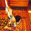 DSCN2492.JPG