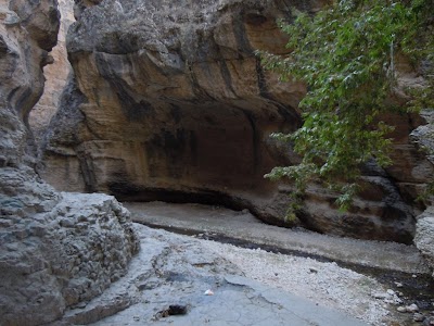 DSCN3859.jpg