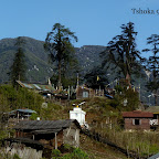 Goechala-dzongri-trek (21).JPG