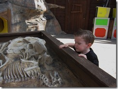 IMG_4019 IMG_4019