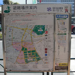 map of evacuation center in shinjuku in Shinjuku, Japan 