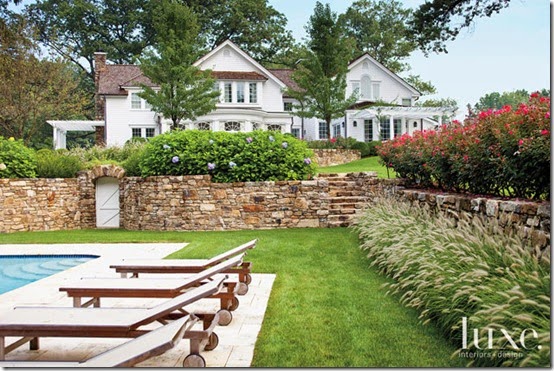 backyard backyard