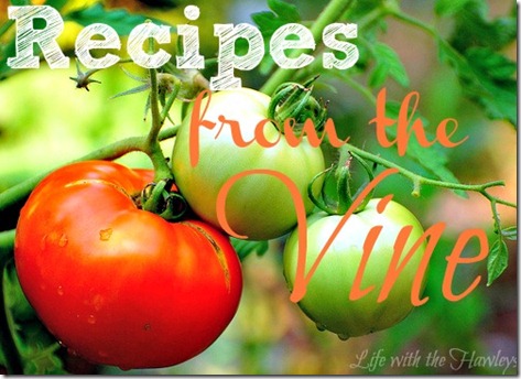 Recipes from the vine Recipes from the vine