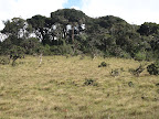 Horton Plains