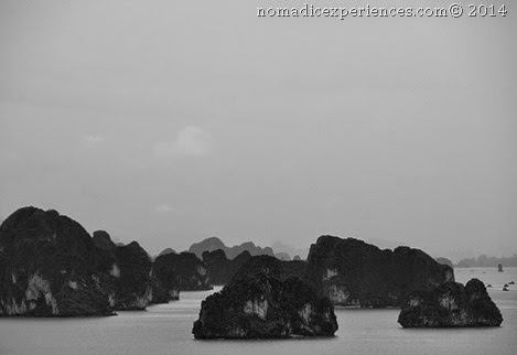 DSC_4953 DSC_4953