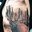 Elk #1
