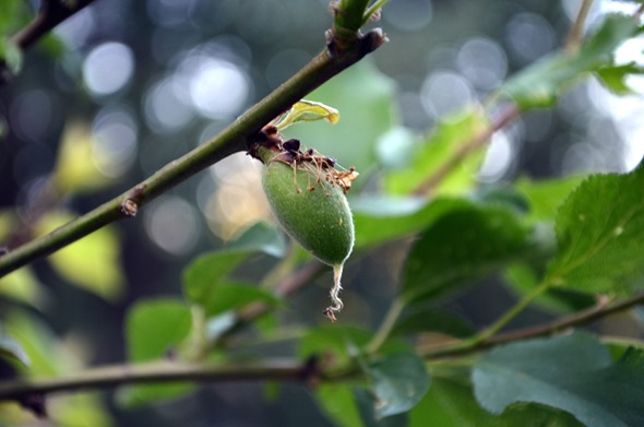 DSC_0019 DSC_0019