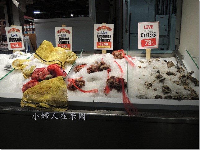DSCN1165- DSCN1165-