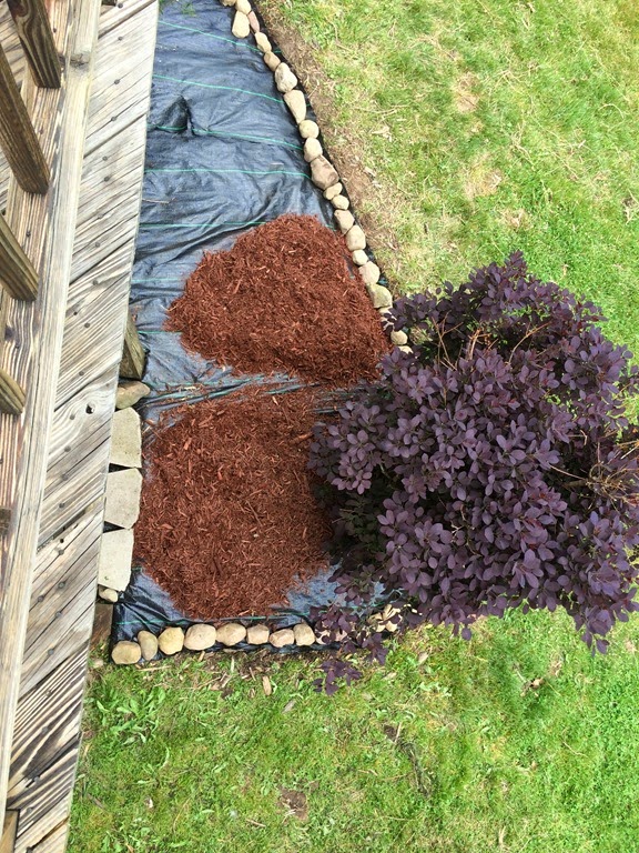 [IMG_1011%255B3%255D.jpg]