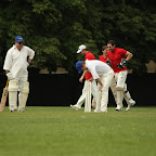 IMG_8351.jpg