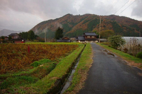 20111120071927.jpeg 20111120071927