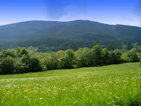 IMG_0014.JPG Photo