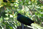 DSC_0321.JPG