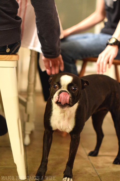 Even the dog will beg for Stouffers. Stouffer's Party Size Lasagna's go great with this Dark Chocolate Peppermint Pie made from a Nestle Toll House dark chocolate peppermint cookie crust. Make your Holiday Entertaining super simple with these ideas. You won't want to miss them! Even the dog will beg for Stouffers