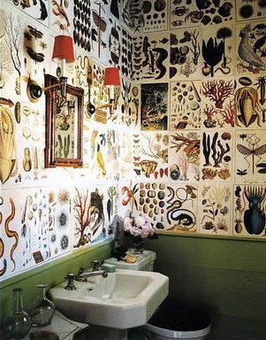 What a clever idea to wallpaper bathroom walls with the pages of a beautiful book. (Cabinet of Curiosities By Albertus Seba)
